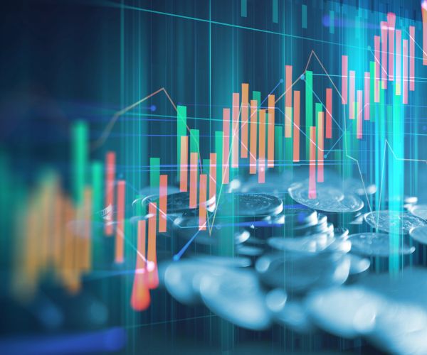 Elinet Fund - Investment Strategy